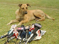 press conference